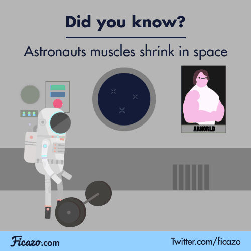 Astronauts can spend 5 hours a week or more exercising in space. Even after all that hard work their muscles lose strength during their trip. Scientists are working hard to try and solve this problem. Until then, astronauts will be spending a lot of...