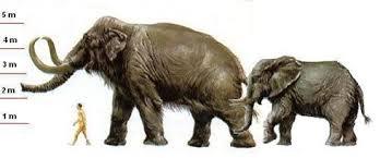 Resultado de imagen para el mastodonte