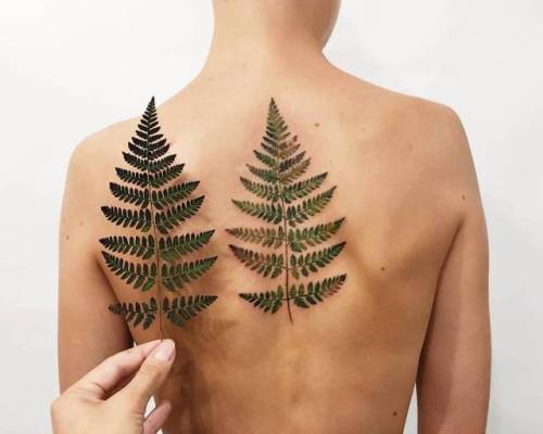 By Rit Kit, done in Kiev. http://ttoo.co/p/21499 fern leaf;big;leaf;facebook;nature;realistic;upper back;twitter;ritkit