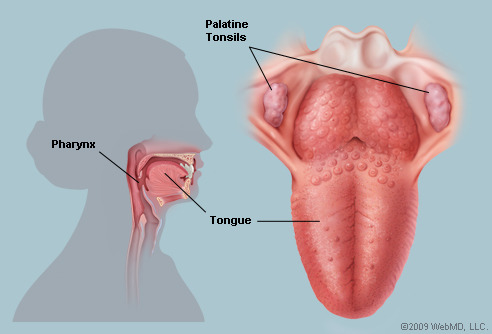Image result for tonsillitis tumblr
