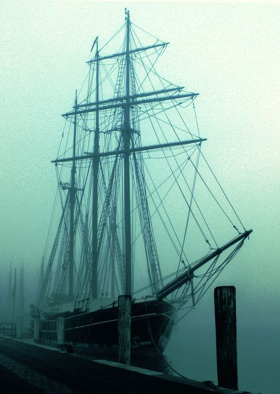 ltwilliammowett:
“Tall- Ship beauty in fog
”