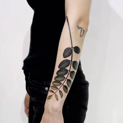 By Doy, done at Inkedwall, Seoul. http://ttoo.co/p/21428 tree;big;leaf;acacia;acacia leaf;facebook;nature;realistic;forearm;twitter;doy