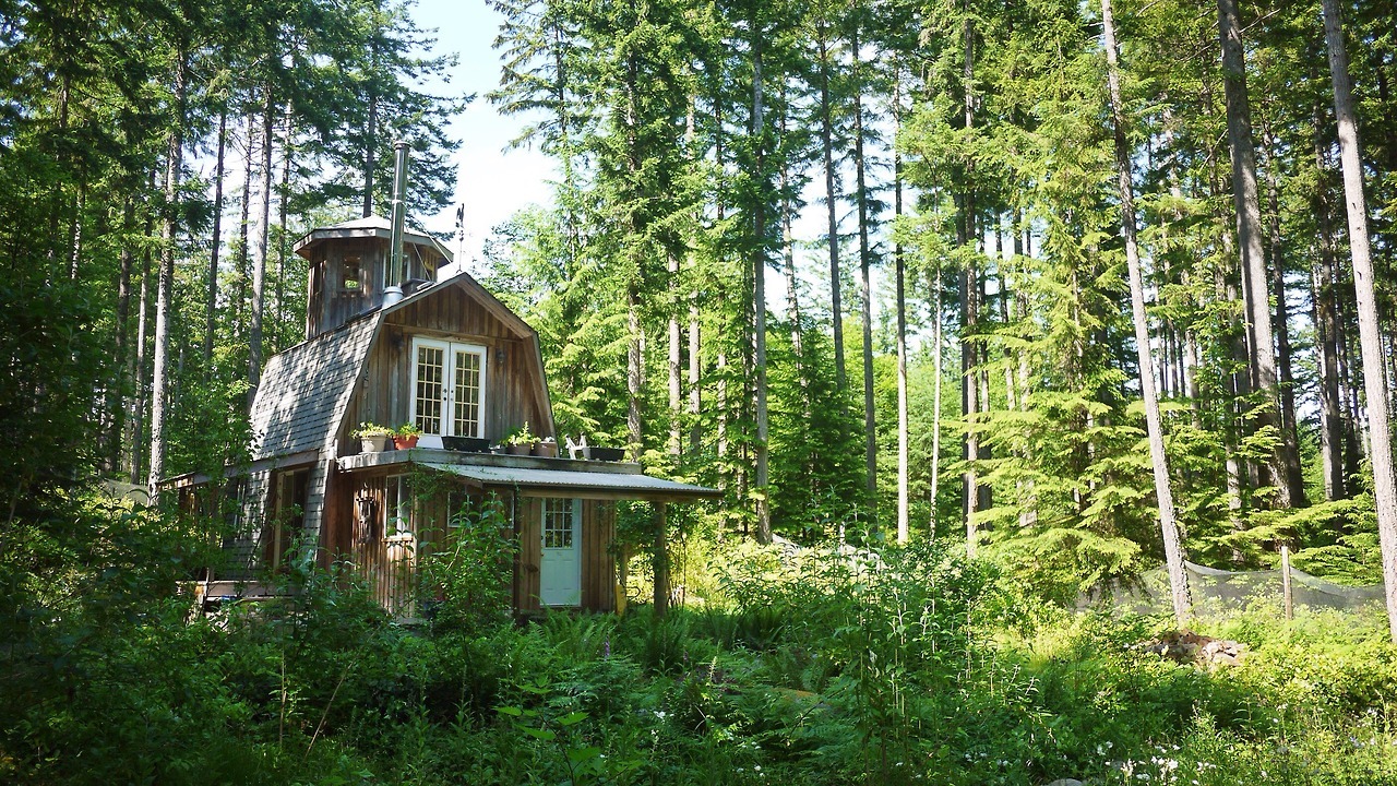 Cabin on Cortes Island, British Columbia. It’s a magical acreage in a 140-acre conservation forest just steps from the beach. We feel lucky to call this tiny cabin our home
Justine / @justineelizabethashley