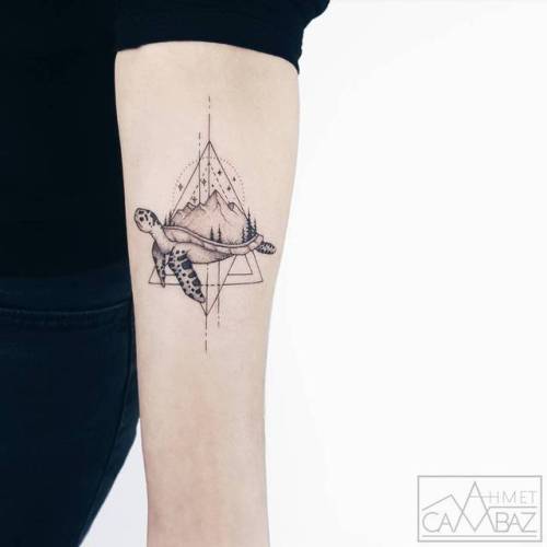 Ahmet Cambaz dots;turtle;mountain;triangle