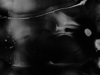 GIF from Decasia
American found footage film by Bill Morrison, 2002