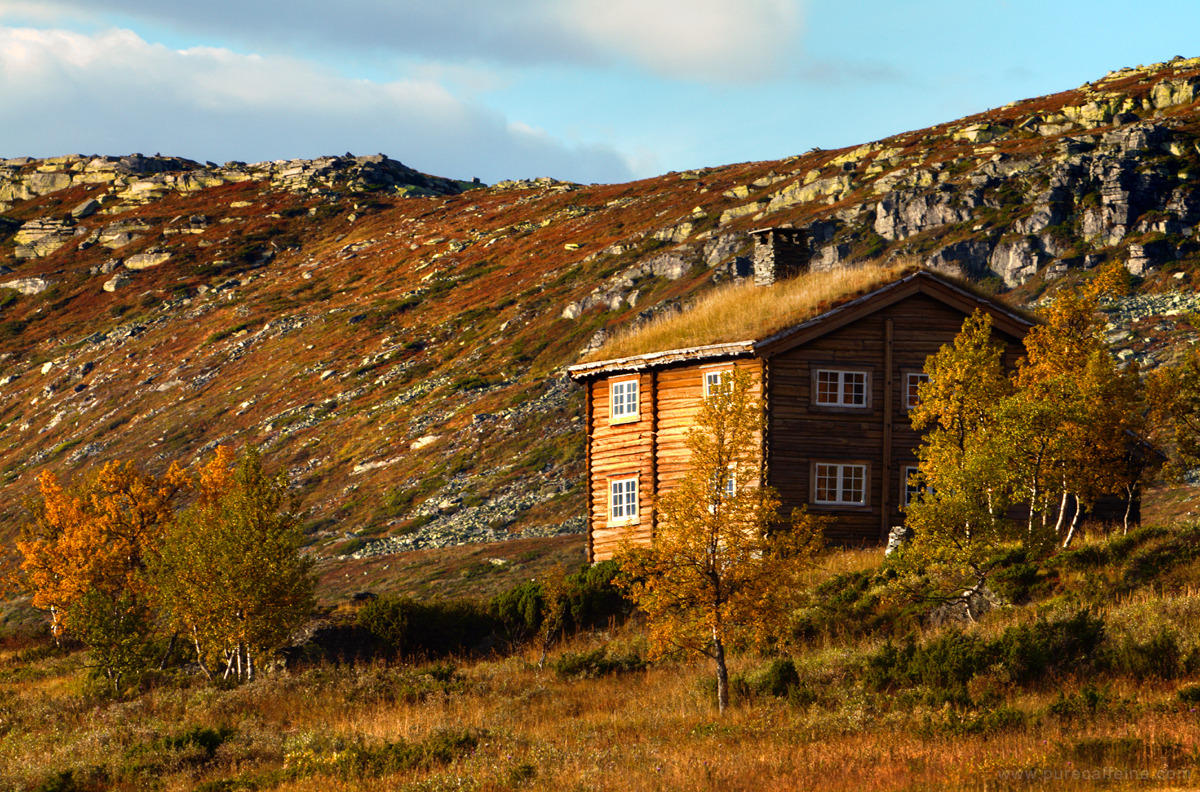 Alpine winter cabin in Norway
Taken in early Autumn as the birch trees turn beautiful shades of yellow and red — the best time of the year! Yet all these cabins are empty.
Submitted by Nathanael