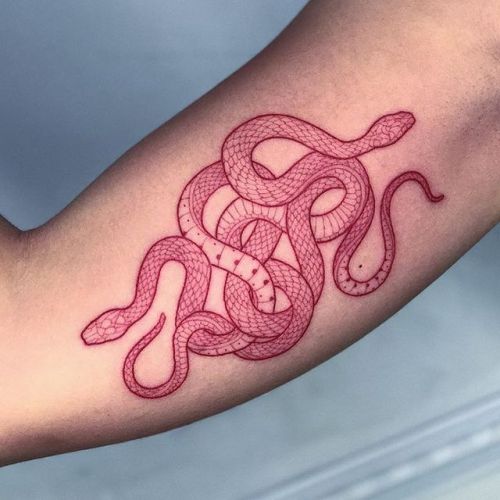Tattoo tagged with: snake, red 