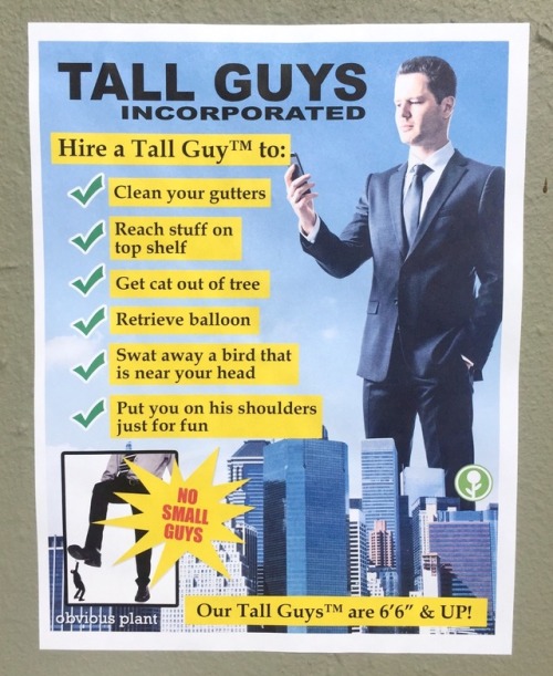 obviousplant:
“Hire a Tall Guy™
”