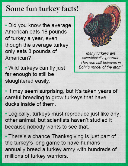 Progressive Charlestown: Fascinating turkey facts
