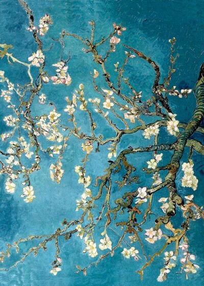 uncasinoinnamorato:
â€œ Vincent Van Gogh, Rami di mandorlo in fiore
â€