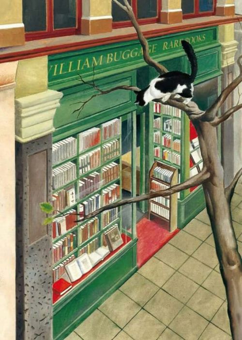 Hay librerías que encierran sobre sus estanterías auténticos tesoros, libros raros y muy originales (ilustración de Federico Delicado)