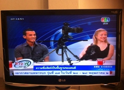live television in thailand