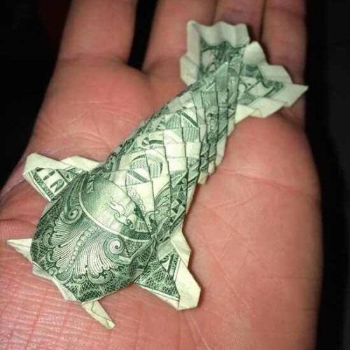 “I made this origami koi fish a few years back for our tip jar. It took me 3 days and all of my patience.”
Post by reddit user Macabee721