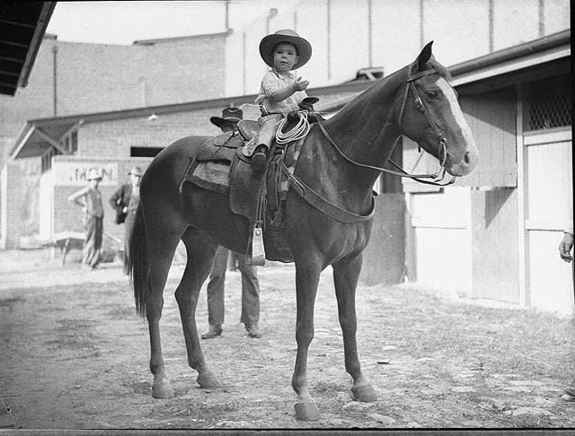 Little cowboy on horseFrom the collection of the State Library of New South Wales