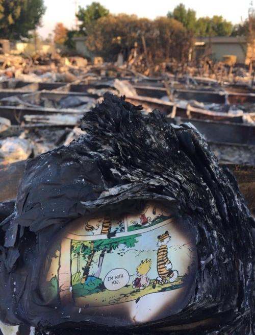 “The last page of a Calvin and Hobbes book found in the ashes of someone’s house after the California fires.” posted by reddit user Dujimon