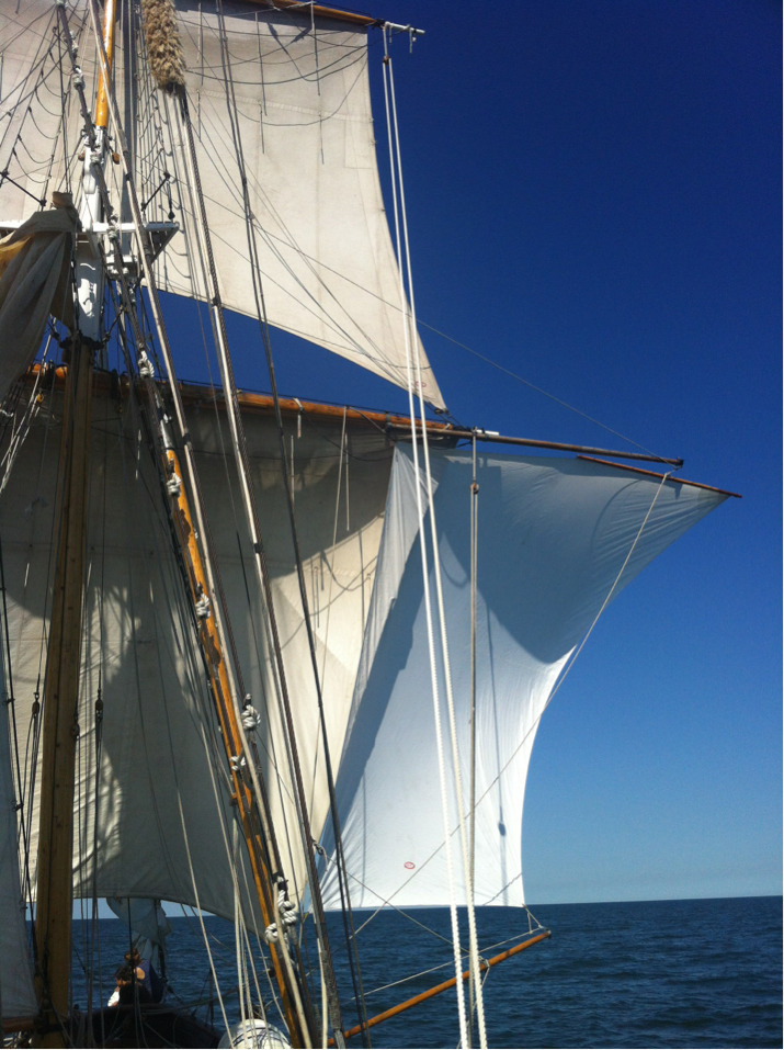 stvstlawrence2-blog:
“Studding sails set on a dead run too long point.
”