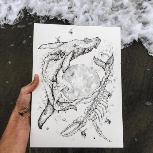 sosuperawesome - Whale Art by Marissa Quinn on InstagramFollow...