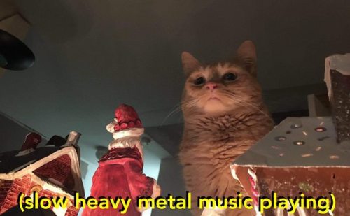 catsbeaversandducks - Via Slow Heavy Metal Music Playing 