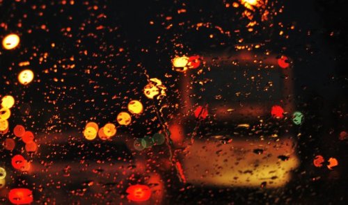 Rainy City Nights