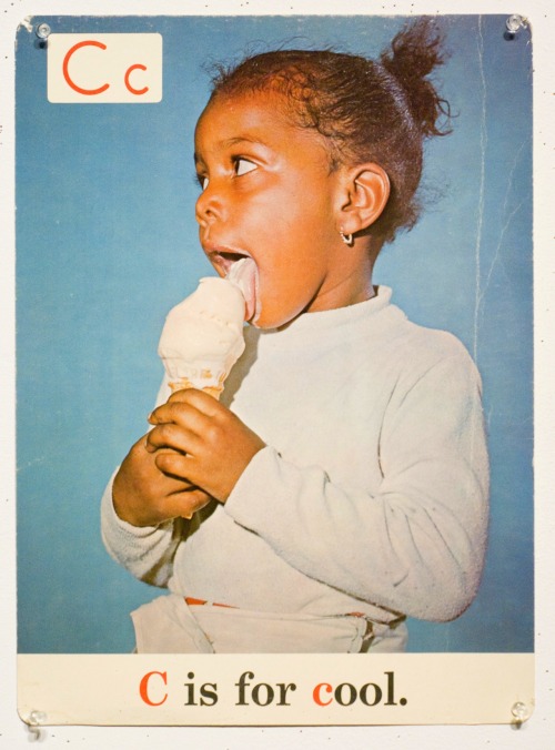 ebaycurious - Black Advocacy Educational Posters...