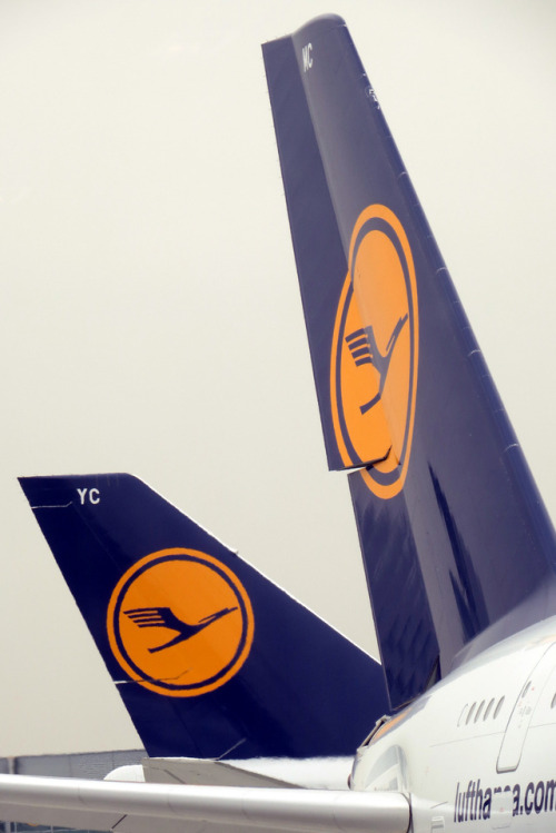Lufthansa BluesLufthansa rolled out a new blue and white look...