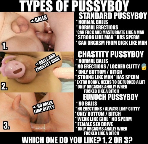 slavefantasies:Types of PussyboyTops, which one do you like...