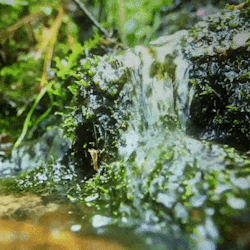 stimfairy - clear running waterfor @brightandshinylassiex x x |...