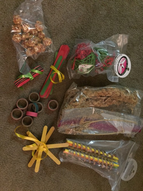 sweetiesugarbird - SUGAR’S SECRET SANTA GIFT CAME IN THE MAIL AND...