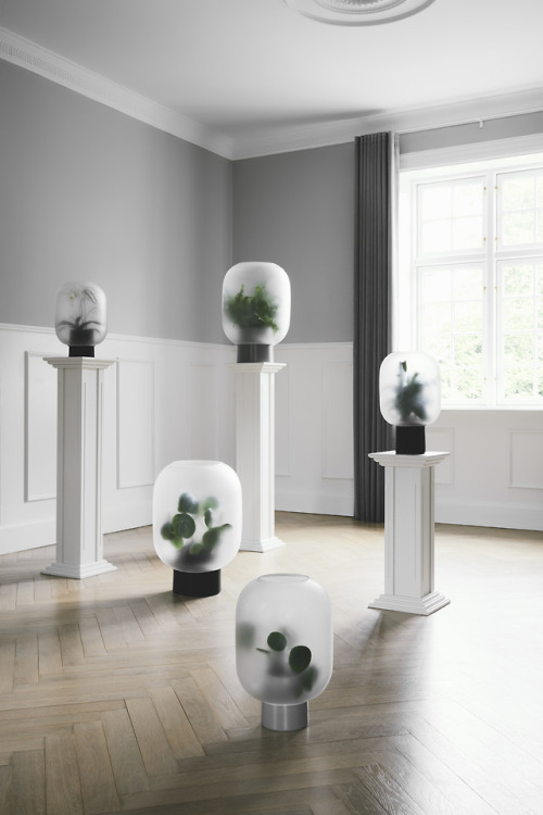 czechs-and-holdings - everything-creative - Nebl Planter by...