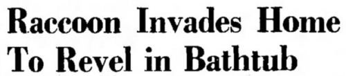 yesterdaysprint - The Salt Lake Tribune, Utah, October 28, 1940