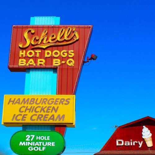 lizacharlesworth1 - Schell’s Hot Dogs/Bar...