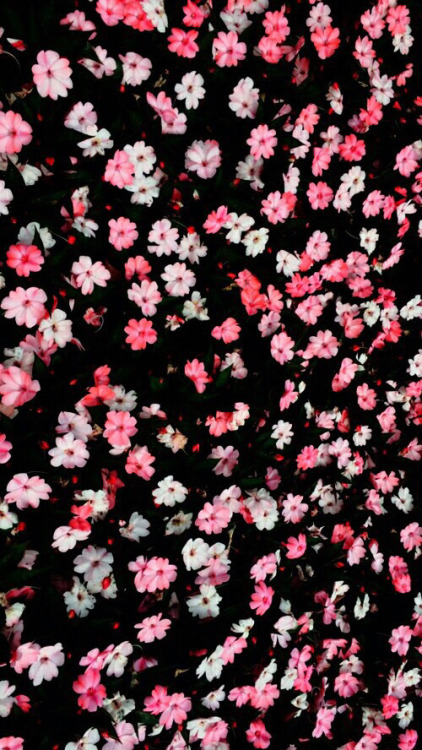 18+ Vintage Floral Wallpapers | Floral Patterns ...