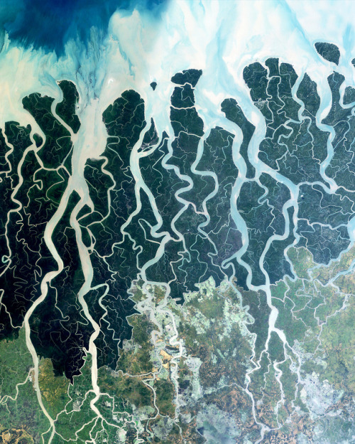 dailyoverview - The Sundarbans is a region that covers 3,900...