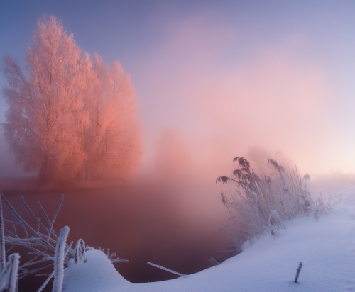 magic-spelldust:Pastel Winter Scenes (photos by Алексей...