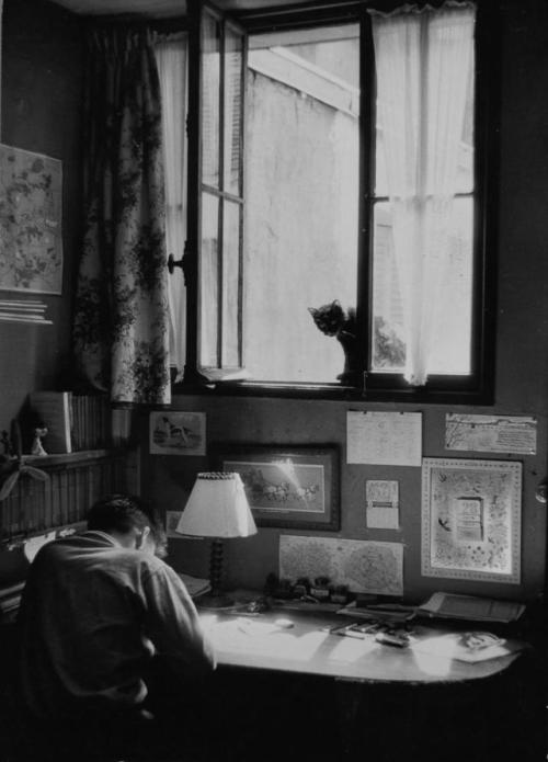 undr - Willy Ronis, Vincent et le chat, Paris, 1955