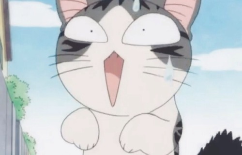 cat anime on Tumblr