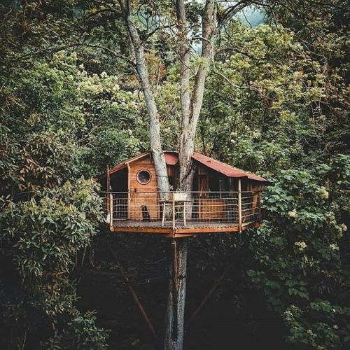 outdoorsurvivalgear - Living on a treehouse is fun, tag with you...