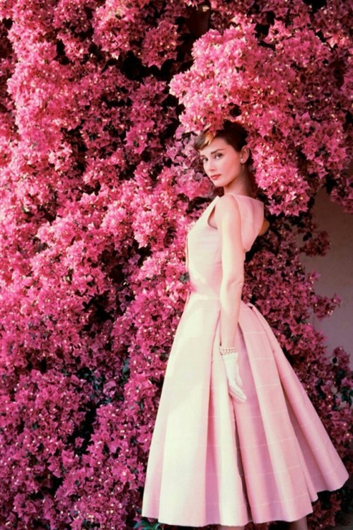 mylittlevintageworld:Audrey Hepburn