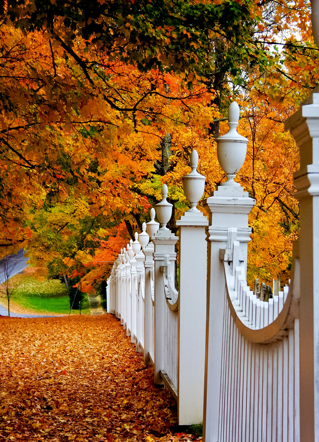 coiour-my-world:
“Autumn Fence, Woodstock, Vermont
”
A walk down a country road,
not knowing what it may hold.
Leaves crunch loudly beneath my feet,
walking fast is no easy feat.
I need to get home to make dinner,
I’d hoped the walk would make me...