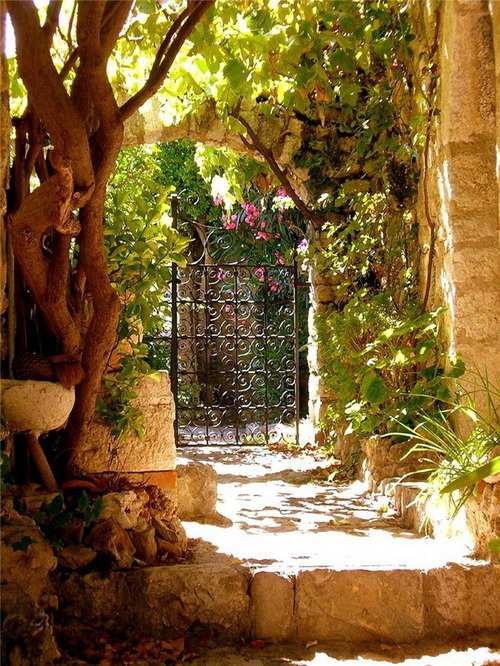 bonitavista:Provence, Francephoto via alison