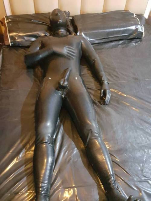 latexdicks:latexboi:rbrgear:Fully rubbered stud. Goals...
