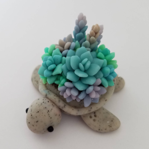 sosuperawesome - Succulent Turtles by Claybie Charms on...
