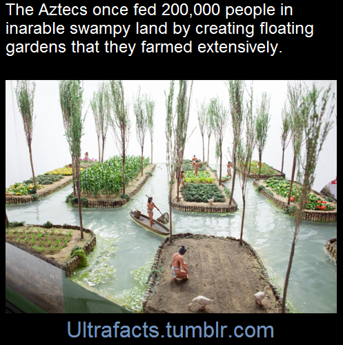 progmetallesbian - ultrafacts - How on earth would you feed a...