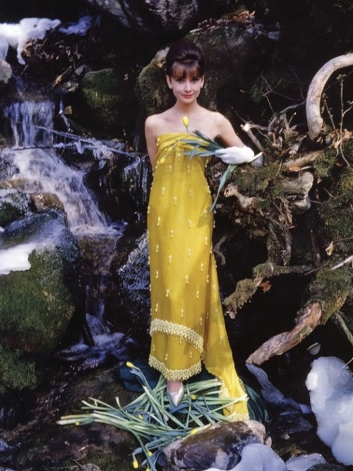 missingaudrey - This Indian-inspired slim yellow silk column with...