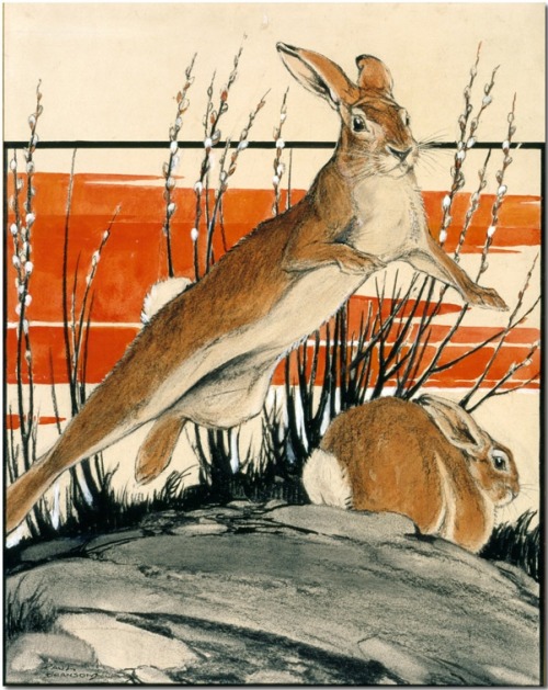 indigodreams:Leaping Cottontail, 1924 Paul BransomOstern
