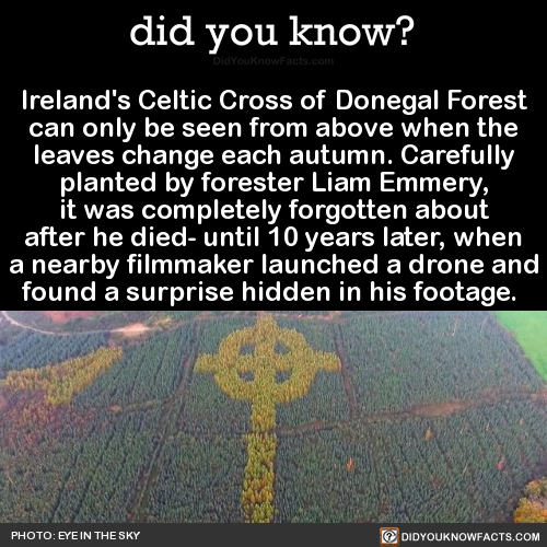 did-you-kno-irelands-celtic-cross-of-donegal