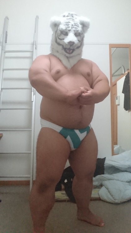 chubby-lover-tora - Jap wrestling fan