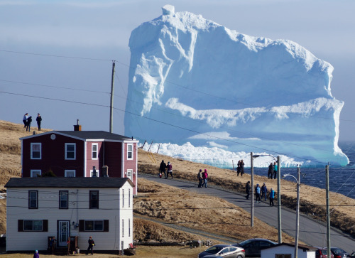 sowhatifiliveinjapan:Residents view the first iceberg of the...