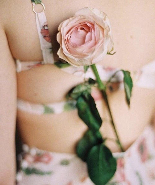 thelingerielovely - Soft florals from Evgenia lingerie