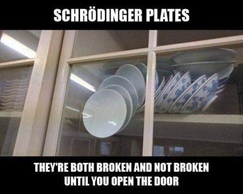 engineersthoughts - Finally I understood “Schrödinger’s cat”. 